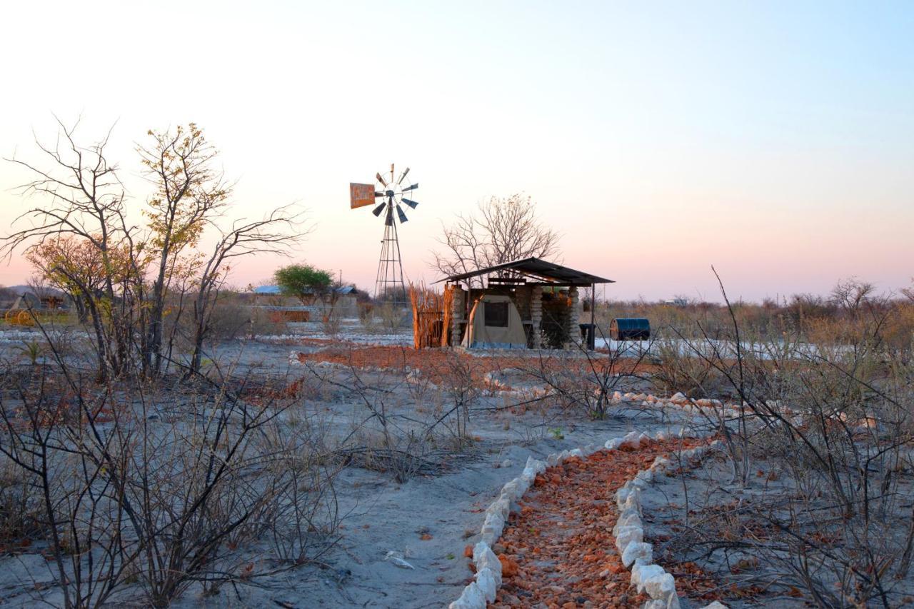 Etosha Trading Post Campsite 奥考奎约 外观 照片