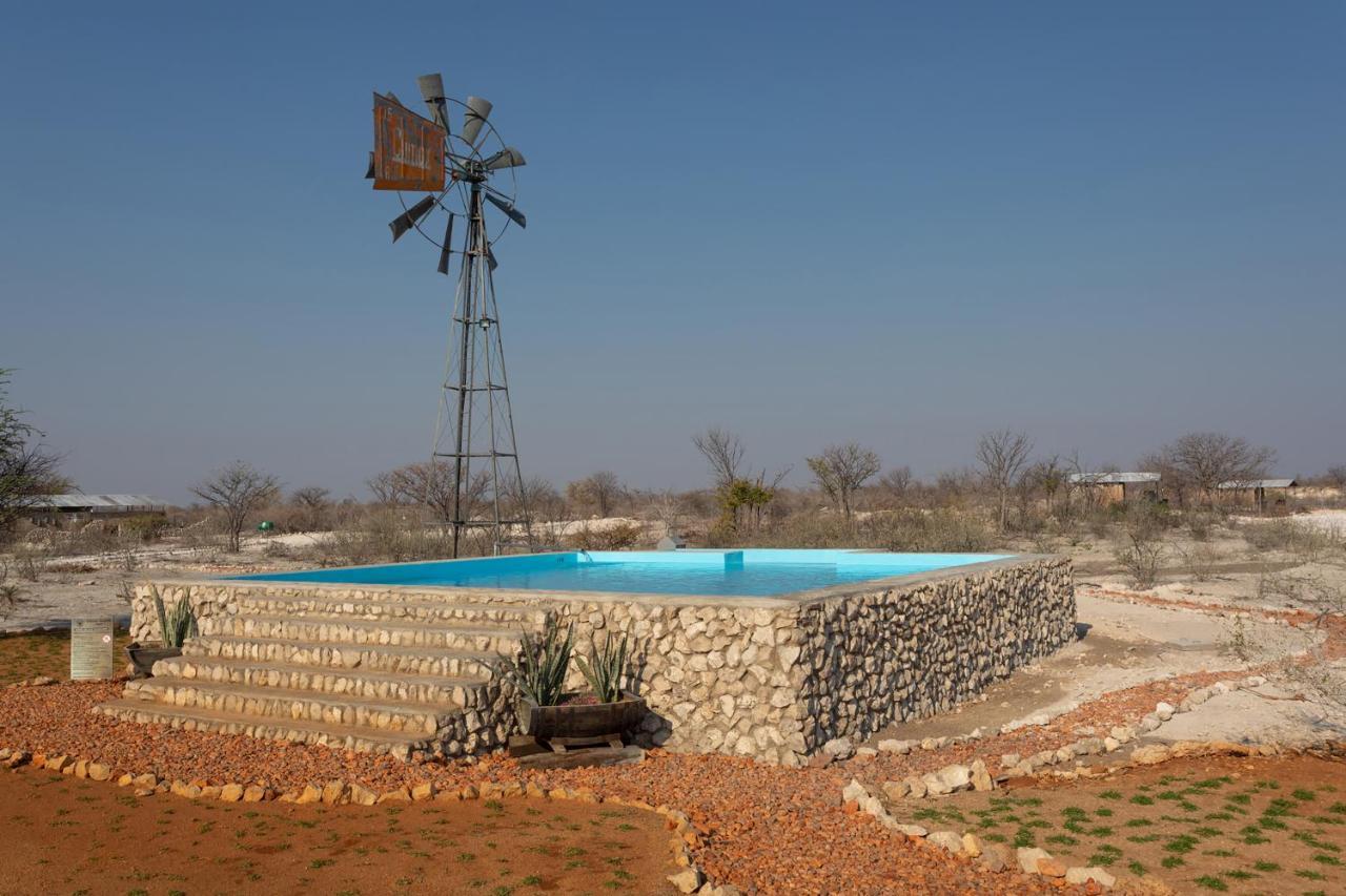 Etosha Trading Post Campsite 奥考奎约 外观 照片